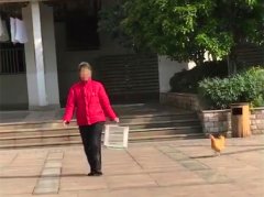 大妈午后遛鸡玩  一呼唤鸡竟飞起来了