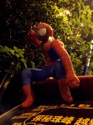 这是在耍酷？ 轿车车尾坐个“蜘蛛侠”