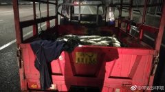 这下好玩了！装“鱼摆摆”的三轮车自燃了