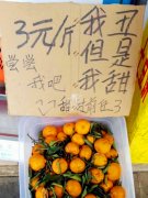商贩花式卖碰柑 网友：被耽误的段子手