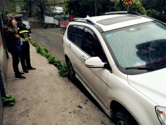 猫咪横穿马路 司机为躲避它将车开进了水沟