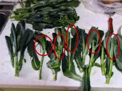 顾客买菜被套路 菜心买回家成了“光杆子”