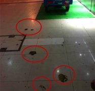 超市门口变“狗屎堆” 顾客苦不堪言