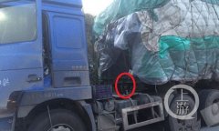 货车司机带着小狗跑长途 理由令人泪奔