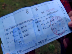 70岁婆婆免费旅游后 竟买回来一块墓地