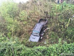 司机开车耍手机  车辆冲进路边沟里