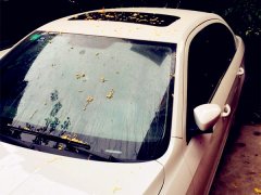 爱车遭遇“天降泡面” 面渣汤料铺满车身