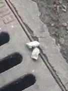 天降两颗小石头   砸碎路人手机钢化膜