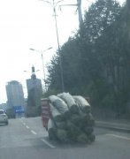 严重超载货物拖地艰难爬行  这辆三轮车好累