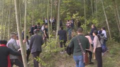 “醉美”四月天 到石柱去“砍酒”