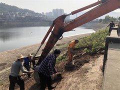 “小菜园”被铲除别心疼 公众安全大于小利益