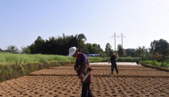 德感惊现打窝神器 又快又准