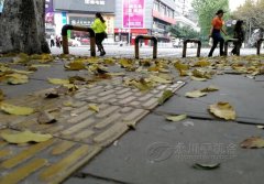 永川满城尽带“黄金甲”  你看到了吗？