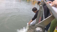 男子禁渔期阿蓬江上摆“迷魂阵”