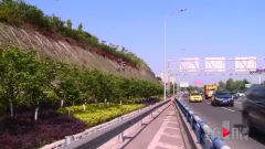 打造花海景观 机场路本月底换“新装”