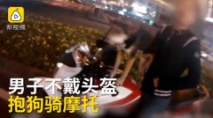 小伙骑摩托车遛狗 还没戴头盔