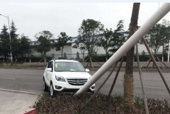 老司机“好”技术 把车开上电灯杆
