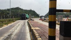 蜜蜂大闹收费站 密集恐惧症慎入