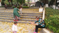 今起三天重庆强降雨来袭  气温下降不大