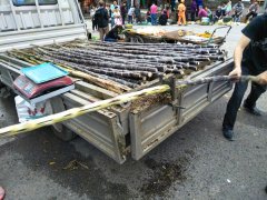 街头现“神器”被围观 甘蔗皮可分秒钟削光