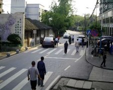 司机遭遇“鬼探头” 小男孩过马路被撞