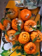 顾客买了一箱丑橘  回家打开发现烂了且发霉