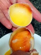 超市买了几个鸡蛋 没放两天变质了