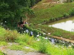 男孩们欲下湖游泳  路人担心其安全