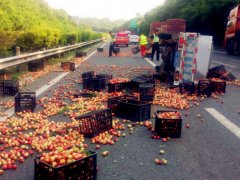 高速上货车爆胎侧翻 桃子瞬间滚满车道