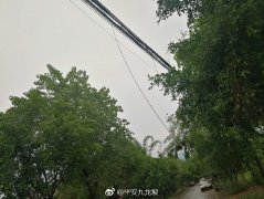 狂风挂断电缆线 砸中摩托车