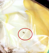 女子便利店内购物   发现面包里有异物