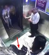 因为牵狗坐电梯  两女子扭打在一起