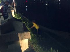 广场舞大妈变“采花大盗”   令路人反感