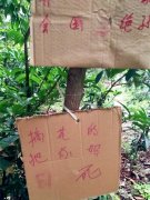 小区内的护花招牌这样写  让人反感