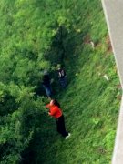 公园里的李子都没熟 他们就来采摘了