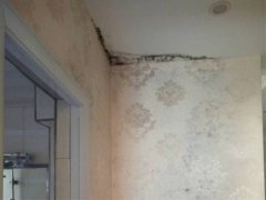 楼上漏水一直不解决   墙体发霉楼下住户很苦恼