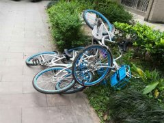 共享单车遭扔弃绿化带 令小区业主不满