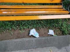 尿不湿被随意扔在地   路人很反感