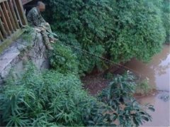 男子翻过护栏 坐在悬坎边钓鱼