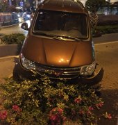 私家车直接飞越花坛  将花草碾压在地