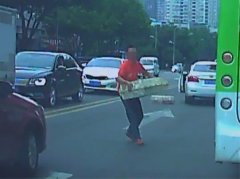 路中间掉落活兔  男子捡后放入车内开走了