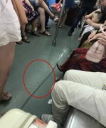 女子车厢内给孩子把尿 尿液从乘客脚下滑过