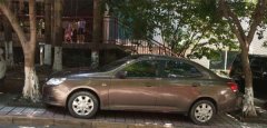 重庆街头现停车牛人  两棵树之间卡进棕色小车