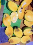 女子买了群里推荐的芒果  切开发现坏掉了