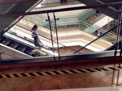 女子在医院内“遛狗”   引他人反感