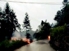 路边电线被吹断 点燃草丛噼啪作响