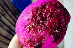 市民买的红心火龙果   回家发现里面有“蛆”