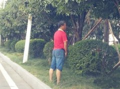 男子在路边花坛处小便    令路人反感