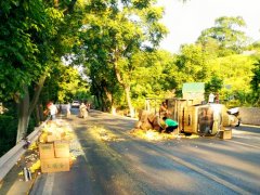 货车失控侧翻鸡蛋倾倒一地 目击：黄灿灿一片太可惜