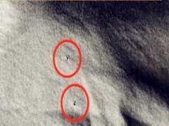 男子花1500元买的短袖   穿几天就出现了破洞